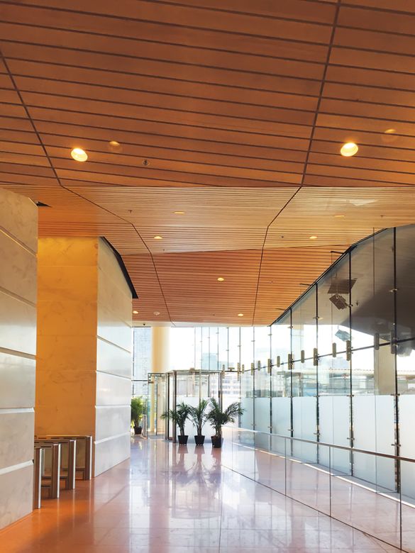 ACGI Linear ceiling system