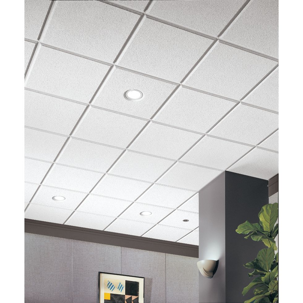 Mineral Fiber Ceilings Armstrong Ceiling Solutions Commercial