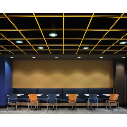 360 Painted Grid 56421 Armstrong Ceiling Solutions 360 Painted Grid 56421 Armstrong Ceiling Solutions