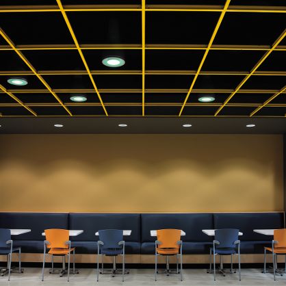 360 Painted Grid 56421 Armstrong Ceiling Solutions 360 Painted Grid 56421 Armstrong Ceiling Solutions
