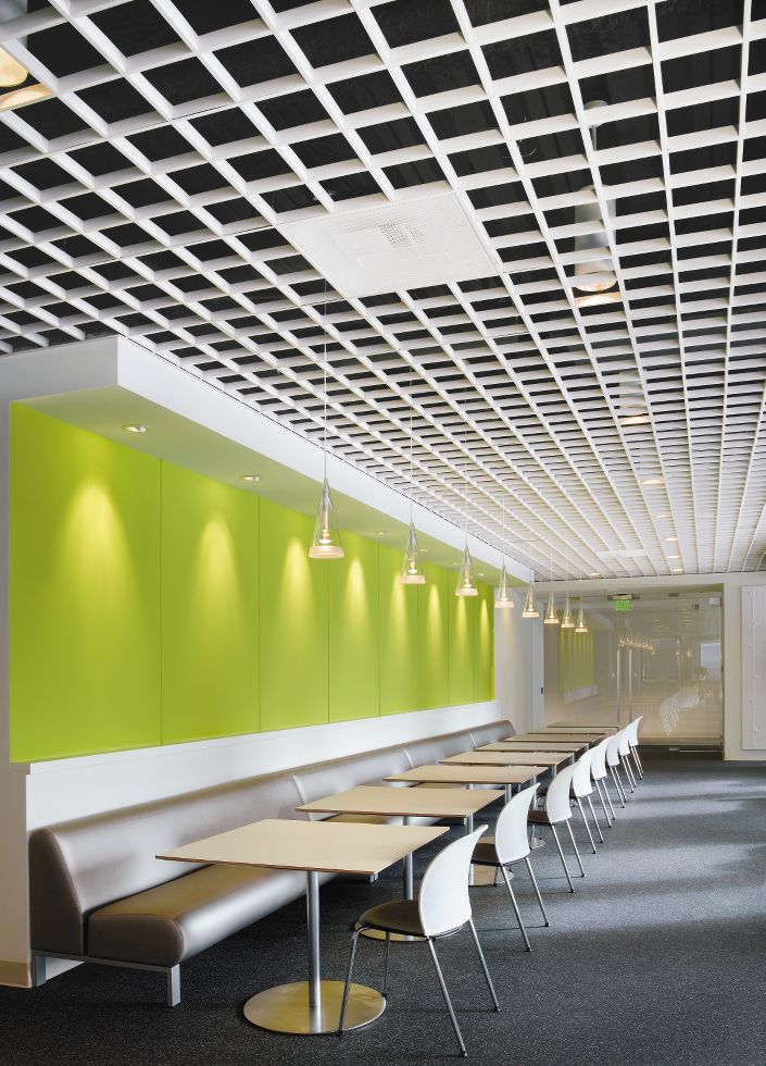 American Society of Clinical Oncology | Armstrong Ceiling Solutions ...