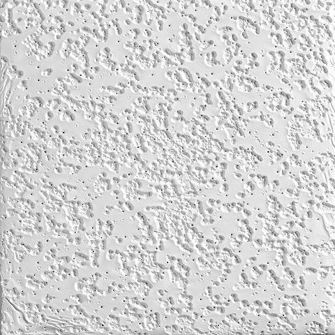 Random Fissured 2910 Armstrong Ceiling Solutions