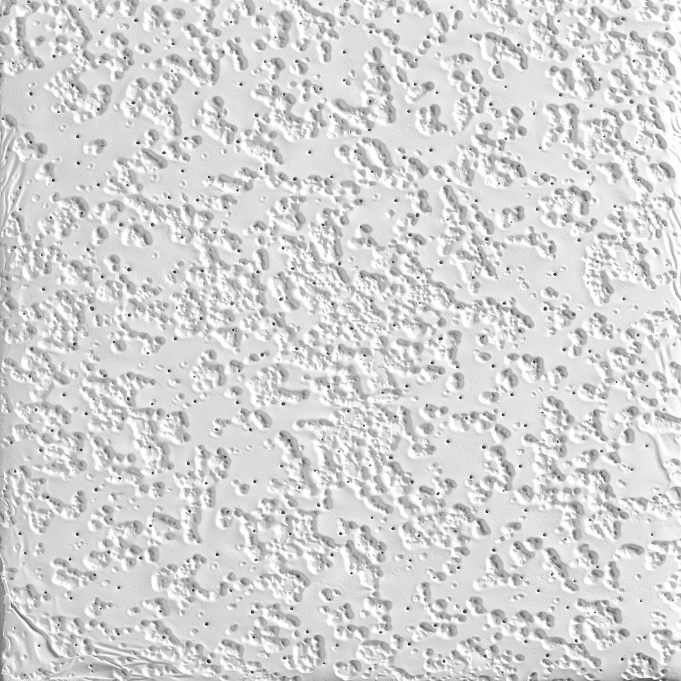 RANDOM FISSURED - 2909 | Armstrong Ceiling Solutions – Commercial