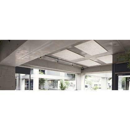 Tectum Finale Ceiling Panels As0091b1c0420 Armstrong Ceiling