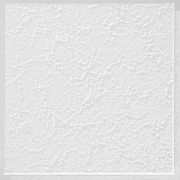 Cover Popcorn Ceilings Ceilings Armstrong Residential