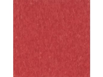 Maraschino 51880
