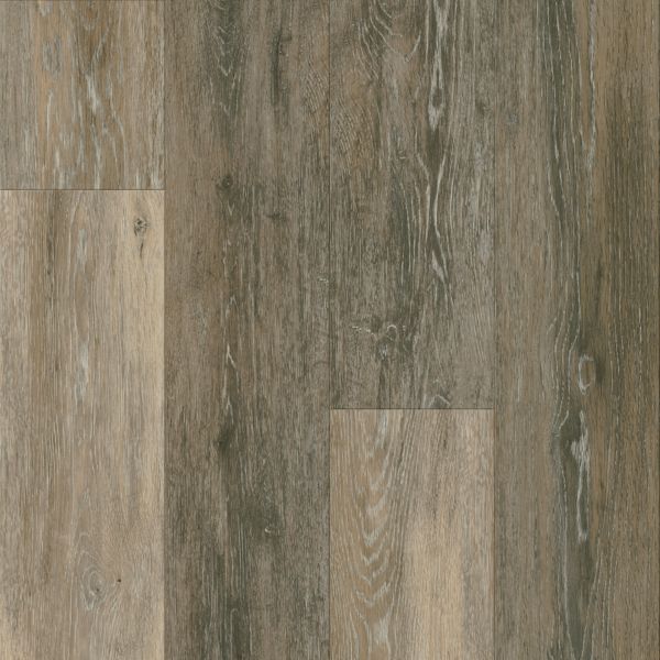 Primitive Forest Falcon A6423 Armstrong Flooring Commercial