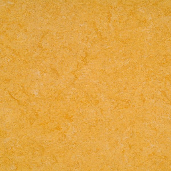 Golden Yellow 125 072 Armstrong Flooring Commercial