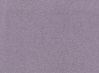 鸢尾紫 FPH5438271J