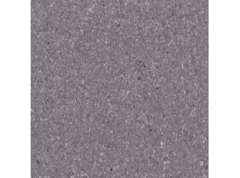 Napier Grey 5A513751