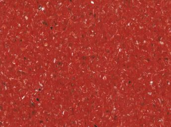 Banksia Red 5A503841