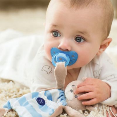 chicco pocket buddies