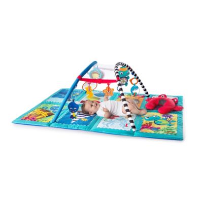 baby einstein discover and play activity center