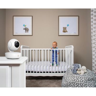 motorola mbp36xl 5 video baby monitor