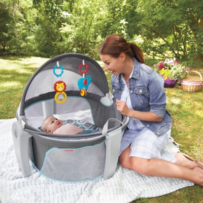 baby dome fisher price