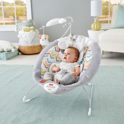 fisher price snugapuppy bouncer