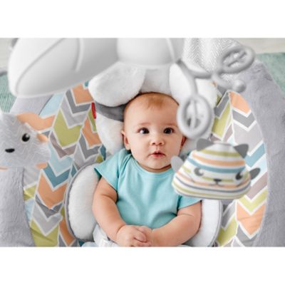 fisher price sweet snugapuppy deluxe bouncer