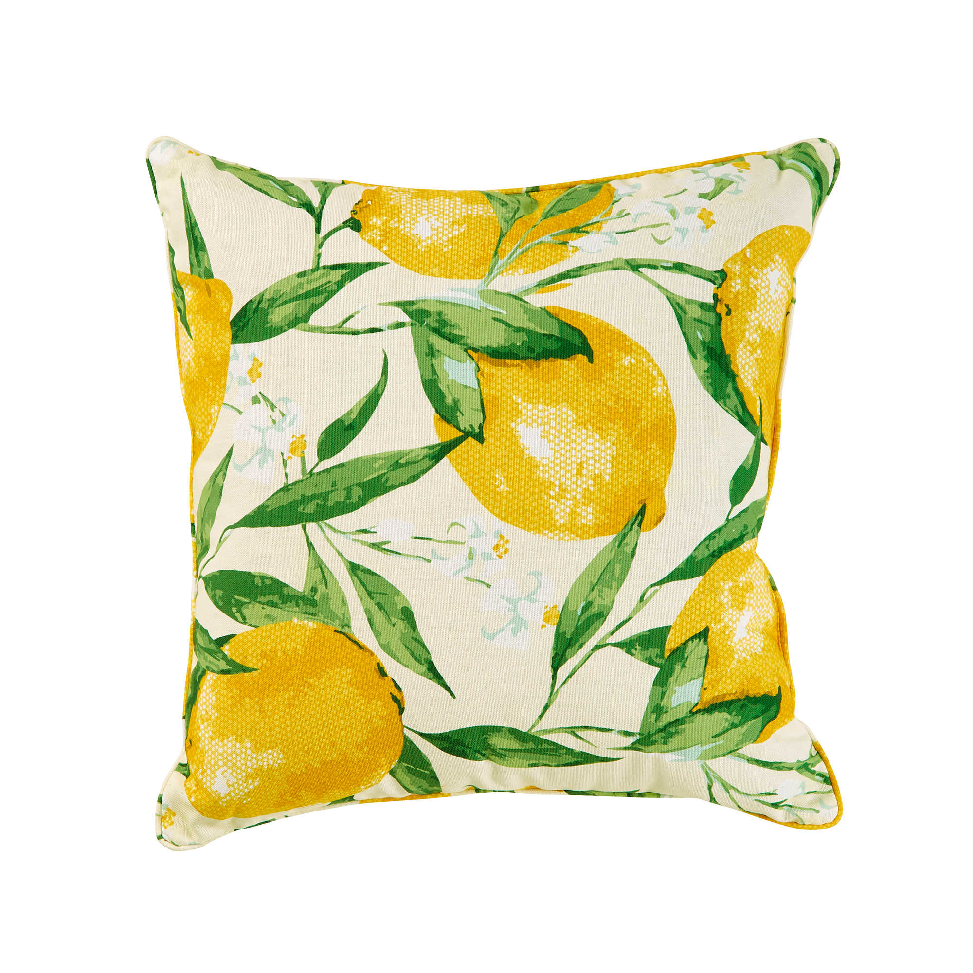 Lemon outdoor pillow