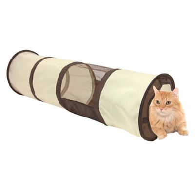 kitty city tunnel