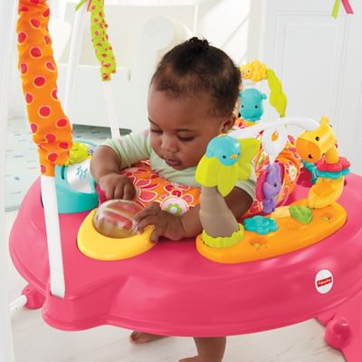 fisher price pink petals jumperoo manual