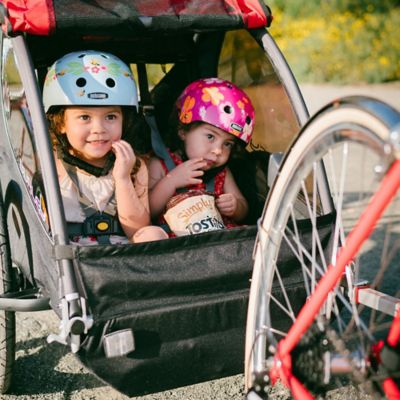 honey bee bike trailer