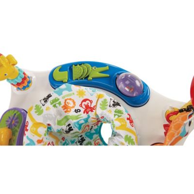 fisher price animal activity jumperoo