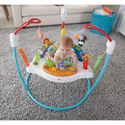 fisher price jumperoo animal activity