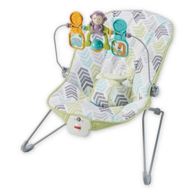 fisher price arrow 17 baby bouncer