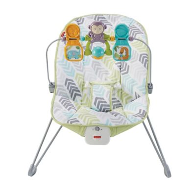 fisher price arrow 17 baby bouncer