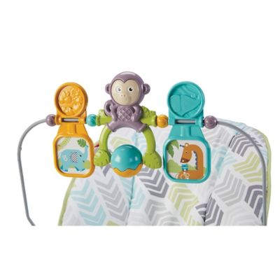 fisher price arrow 17 baby bouncer