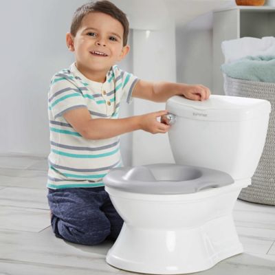 buy buy baby potty