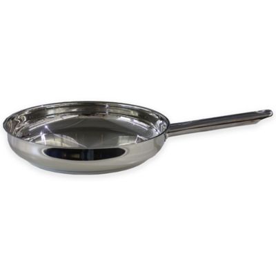 berghoff earthchef boreal stainless steel 10 in.fry pa