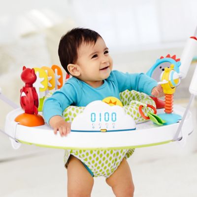 skip hop bouncer buy buy baby