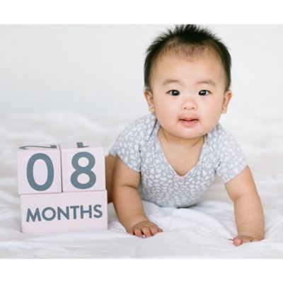 buy buy baby milestone blocks