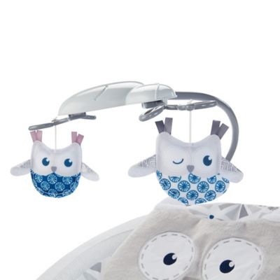 fisher price deluxe bouncer owl love