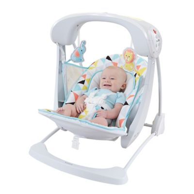 fisher price deluxe take along swing and seat
