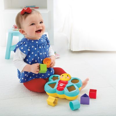 fisher price butterfly shape sorter
