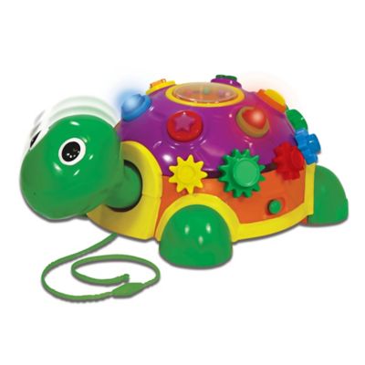 pull along tortoise