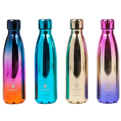 Manna™ Vogue® 17 Oz. Double Wall Stainless Steel Bottle - Bed Bath & Beyond