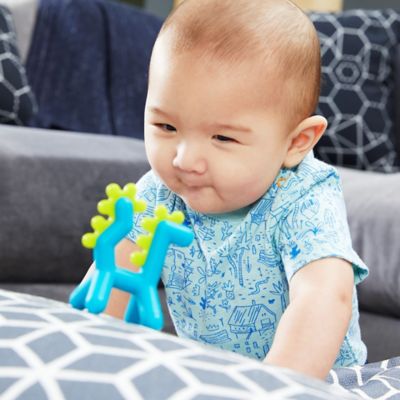 dragon teether