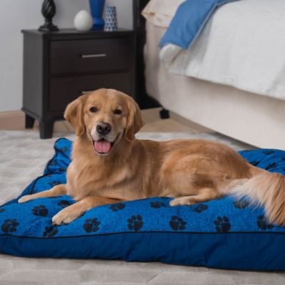 my pillow dog pillow