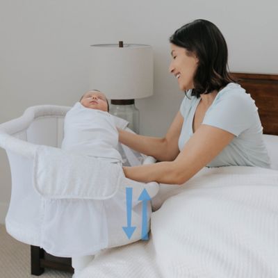 halo essentia bassinet