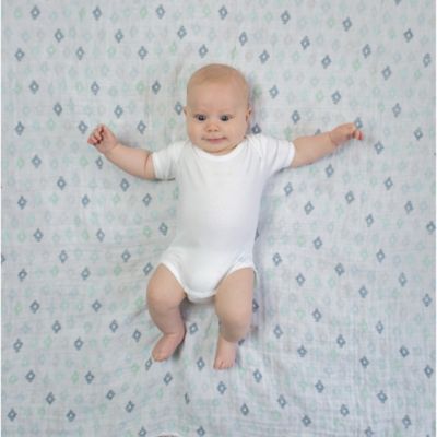swaddle designs muslin blanket