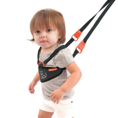 dreambaby safety harness