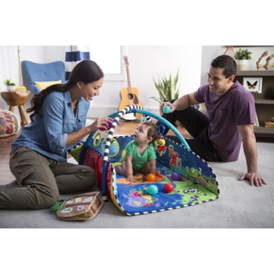 baby einstein 5 in 1 play gym