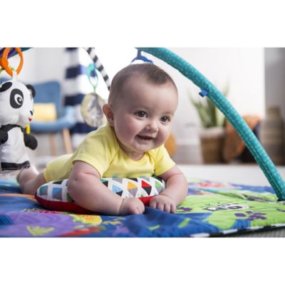 einstein 5 in 1 play gym