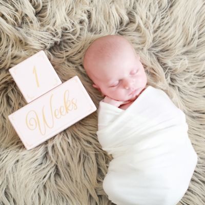 buy buy baby milestone blocks