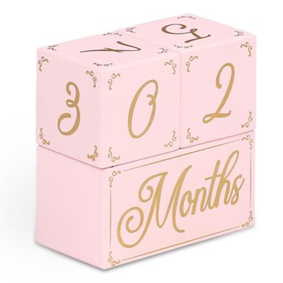 buy buy baby milestone blocks