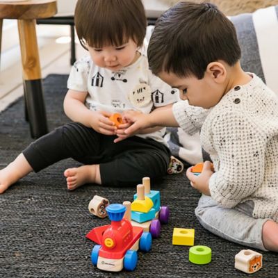 baby einstein wooden toys