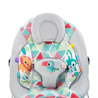 bright starts toucan tango bouncer